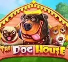 The Dog House